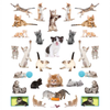 Workman Libro Eyelike Stickers - Gatitos