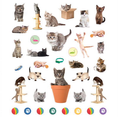 Workman Libro Eyelike Stickers - Gatitos