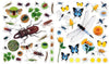 Workman Libro Eyelike Stickers -  Bugs