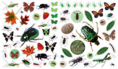 Workman Libro Eyelike Stickers -  Bugs