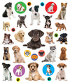 Workman Libro Eyelike Stickers - Cachorros