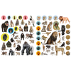 Workman Libro Eyelike Stickers -  Animales Salvajes